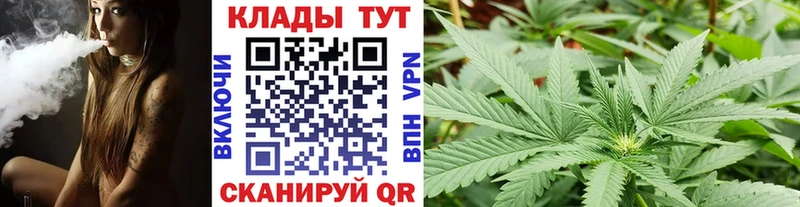 Купить закладку АМФ  APVP  Конопля  Галлюциногенные грибы  COCAIN  Меф  Волгодонск