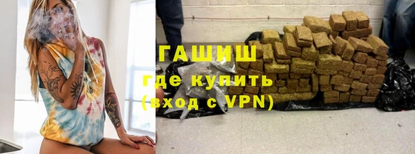 сатива Пересвет