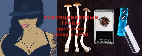 сатива Пересвет