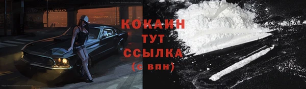 сатива Пересвет