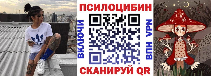 Купить где  Волгодонск  Галлюциногенные грибы GOLDEN TEACHER 